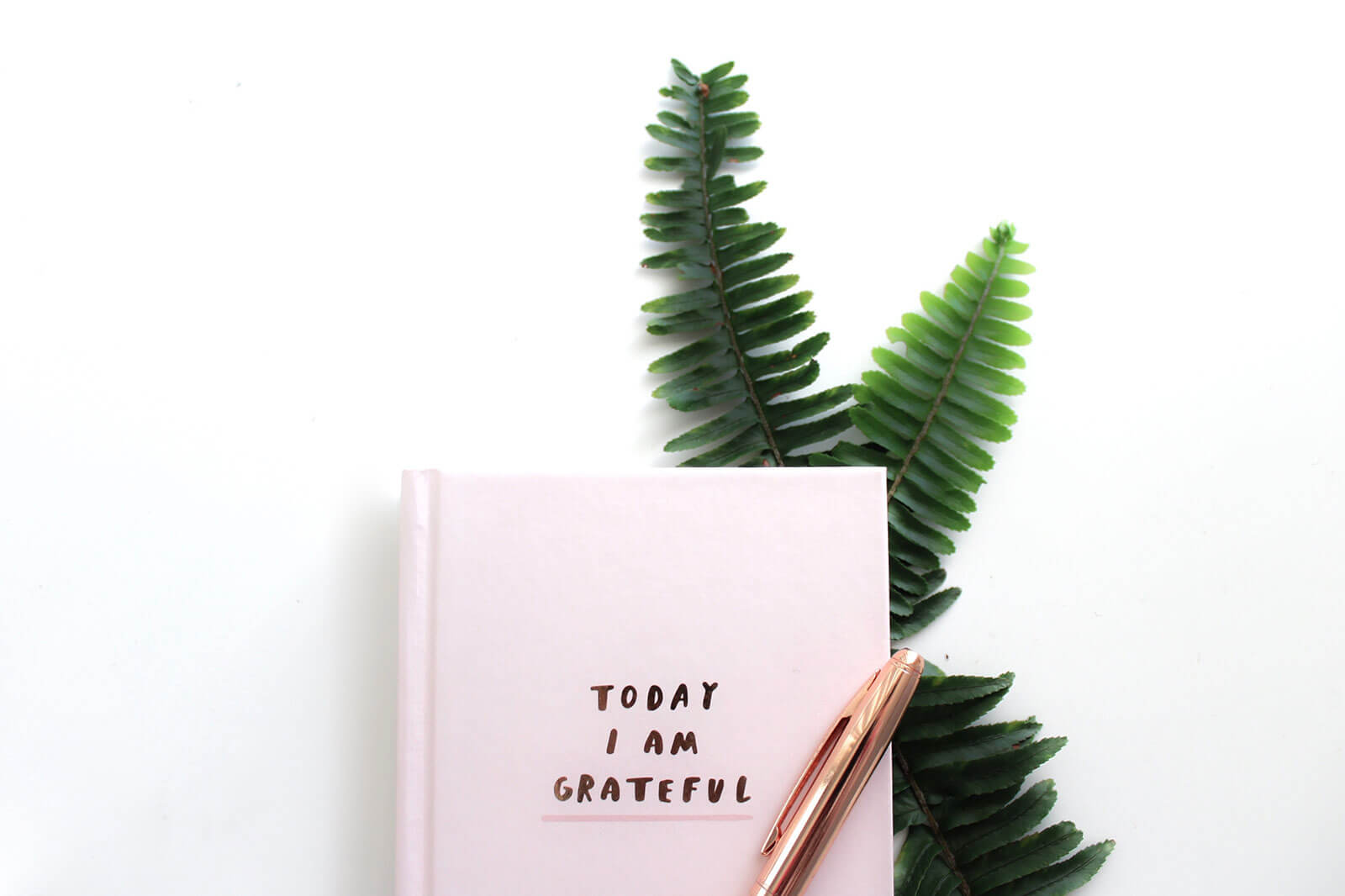 Livro "Today I am grateful" com caneta sobre ramo de folhas